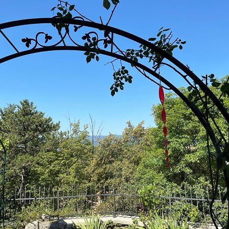 Drenova Apartman Daire Rijeka Dış mekan fotoğraf
